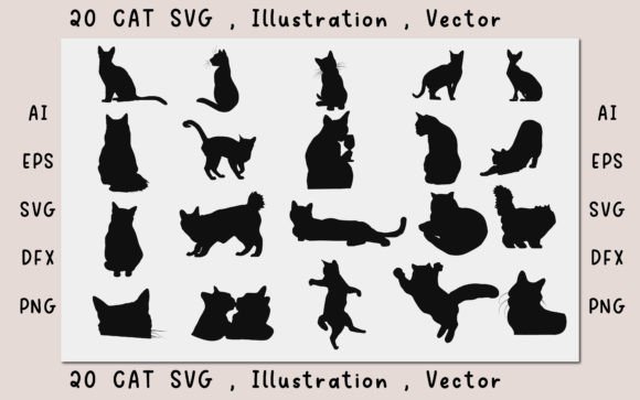 Cat CAt Illustration Cat Vector