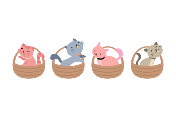 Cat in the Basket